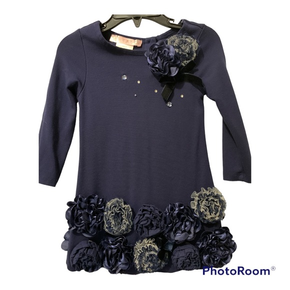 ✨HP✨NWOT Unique Biscotti Toddler dress - Picture 1 of 9